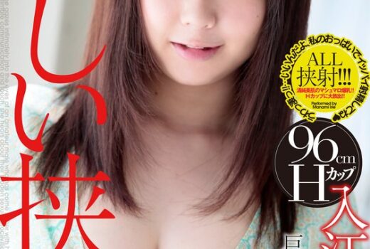 優しい挟射 入江愛美